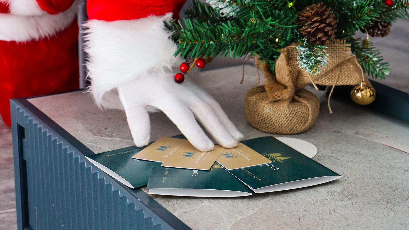 Christmas Vouchers banner