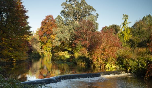 Mount Usher Gardens