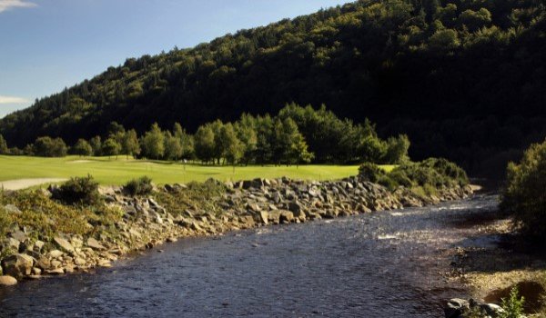 Local Area