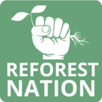 Homepage 1 reforest nation