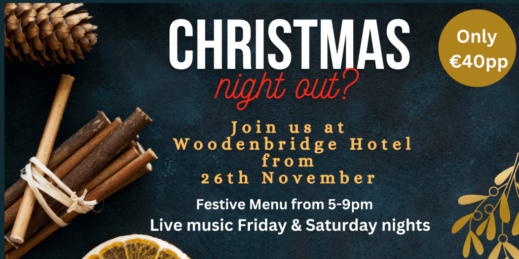 Christmas night out at Woodenbridge Hotel