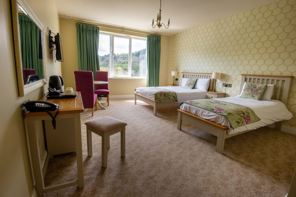 Woodenbridge Avoca room 102 5 1